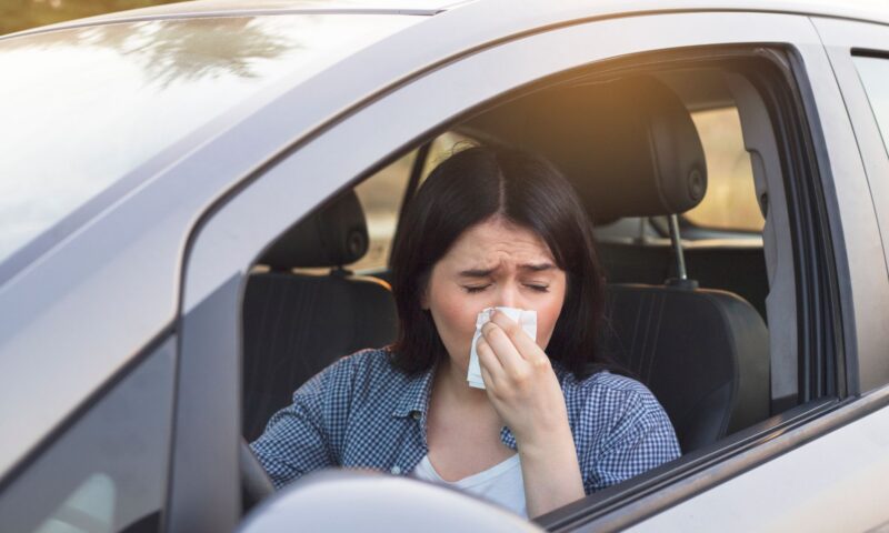 How hayfever can increase car crash risk as four in five sufferers say symptoms hinder their ability to drive