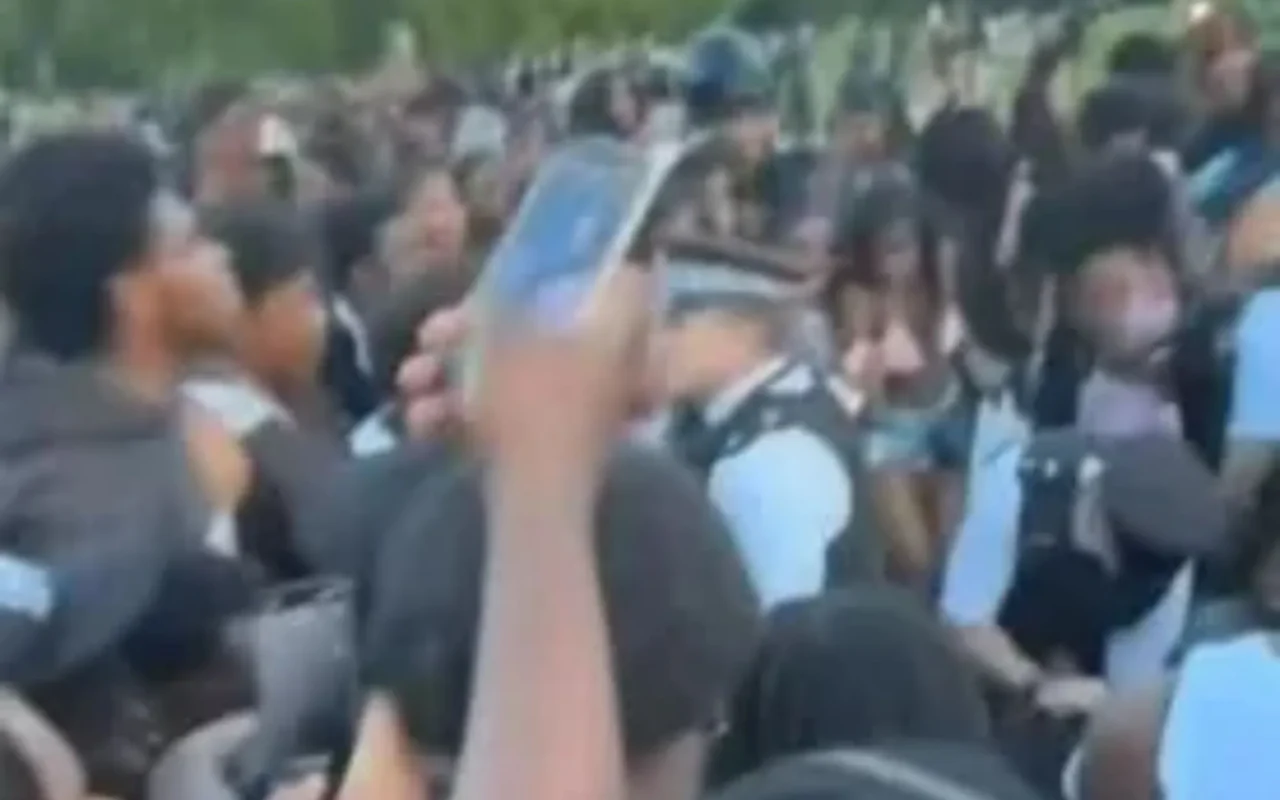 Boy, 17, stabbed & nine people arrested after brawls erupt at massive gathering of youths in London as cops step in