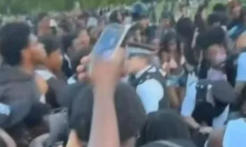 Boy, 17, stabbed & nine people arrested after brawls erupt at massive gathering of youths in London as cops step in
