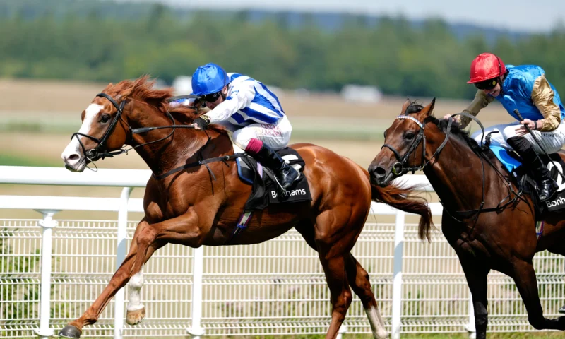 Unlikely England World Cup star lands £20,000 horse winner as he and Brighton pals eye up £1.2m race next