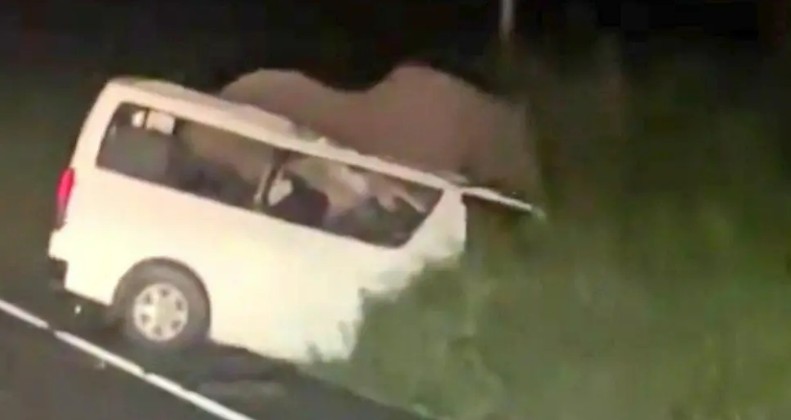 Three people died after crashing into an ELEPHANT in horror smash at national park