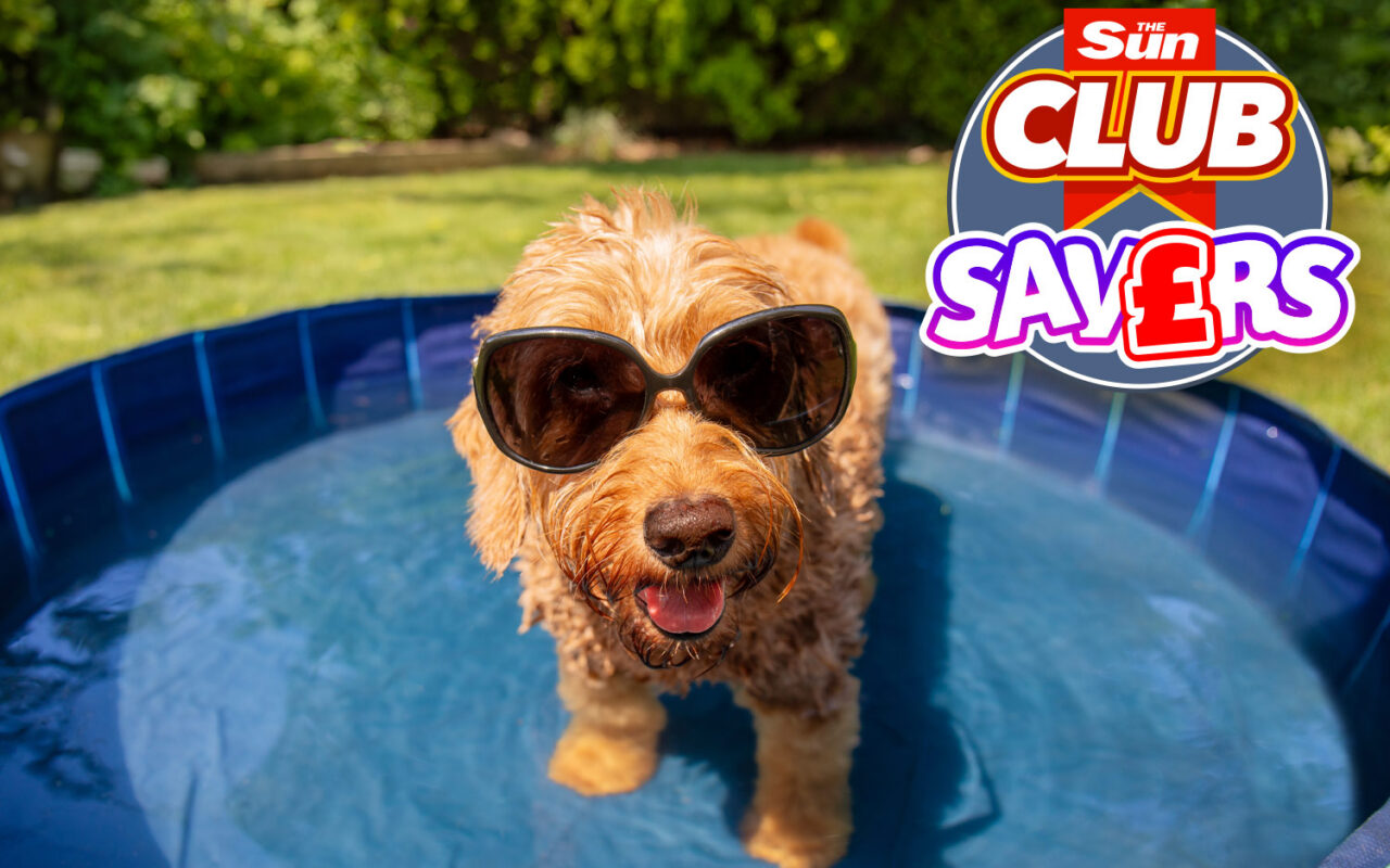 Five savvy ways to help your four-legged friend beat the heat on a budget