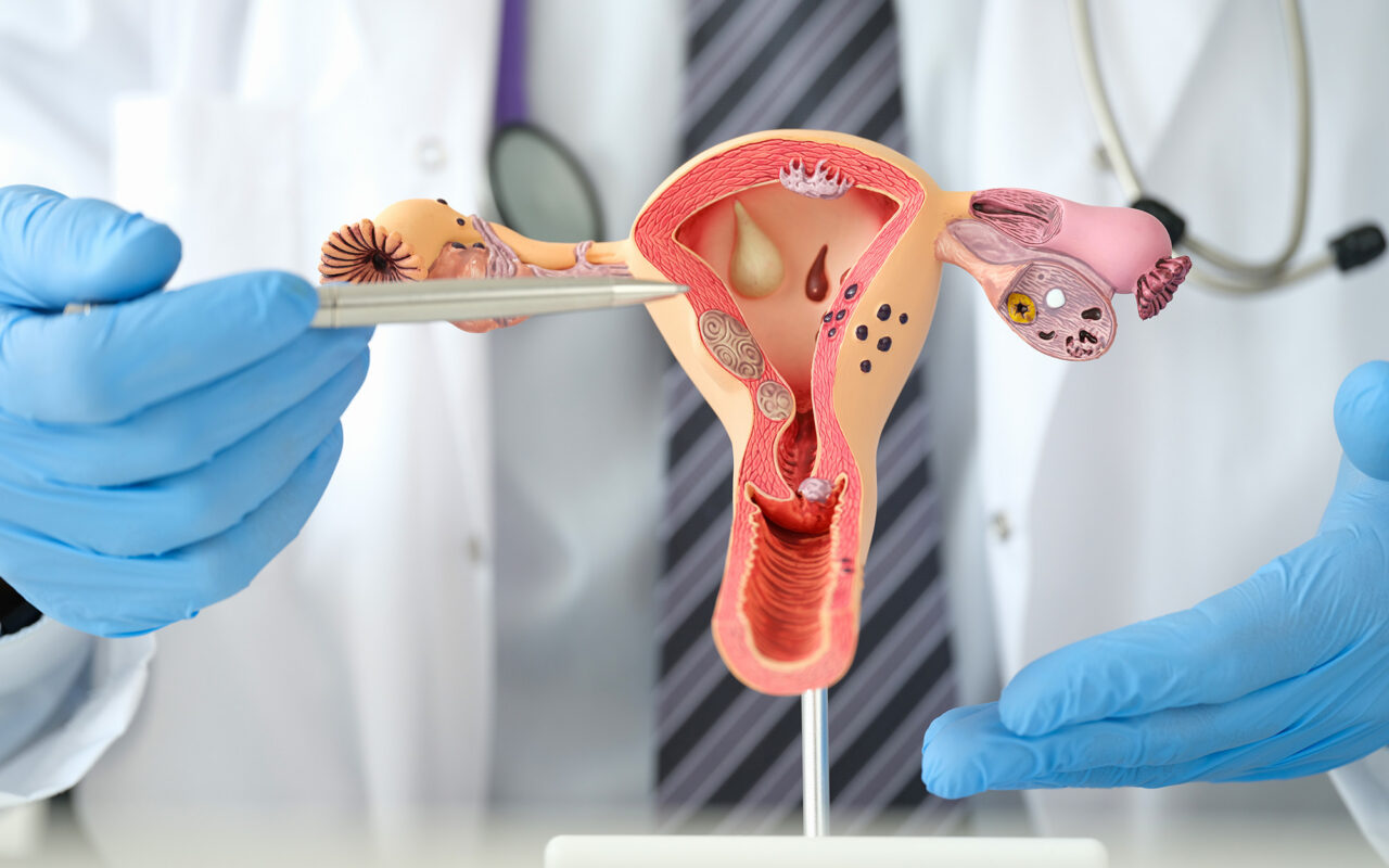 Your ovaries are aging faster than you think — inside the push to extend their longevity
