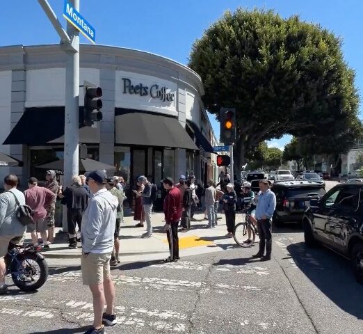 Santa Monica on lockdown after report of apex predator on city street