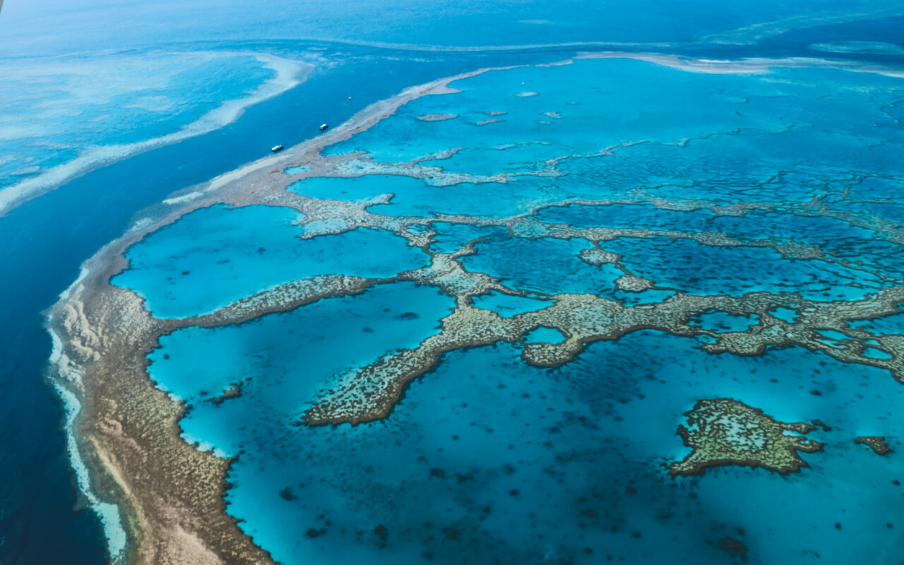 Man dies after shark attack on Australia’s Great Barrier Reef