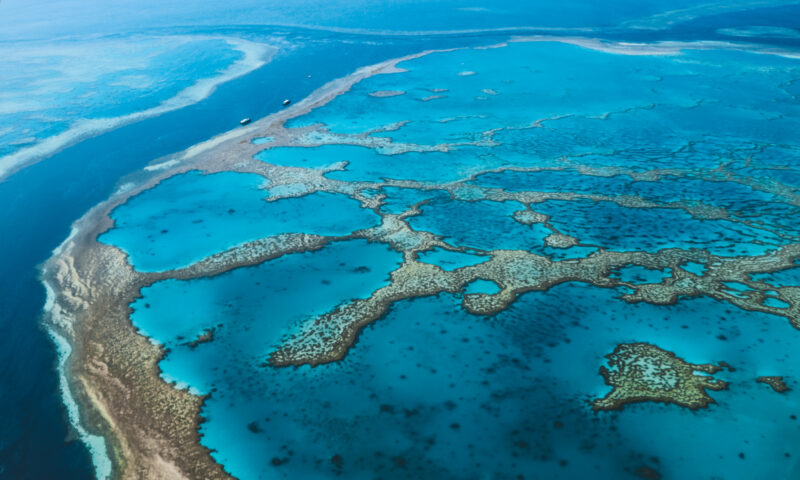 Man dies after shark attack on Australia’s Great Barrier Reef