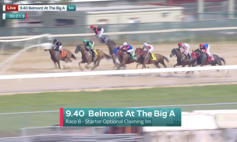 Jockey thrown off horse high into air in scary Aqueduct scene
