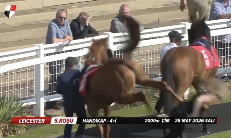Trainer Richard Fahey’s assistant gets brutally bucked by racehorse — and sent flying over the track wall