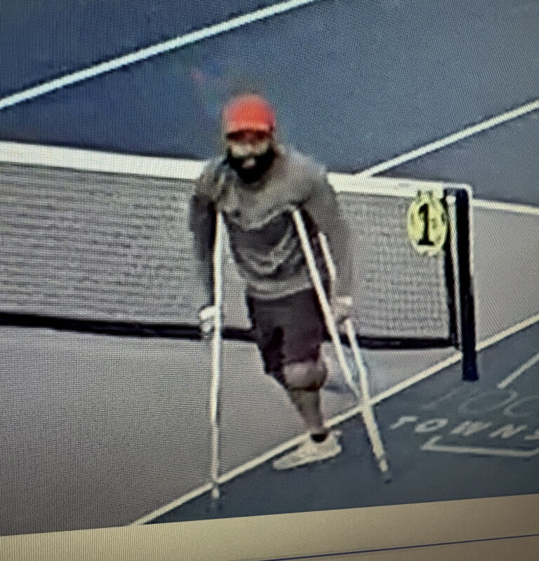 Petulant pickler cut pickleball nets at Pennsylvania parks because injury ‘ruined’ his summer: cops