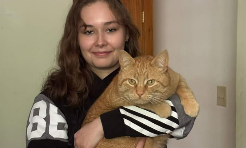 NY high schooler about to graduate stabbed to death less than an hour after final call with estranged dad