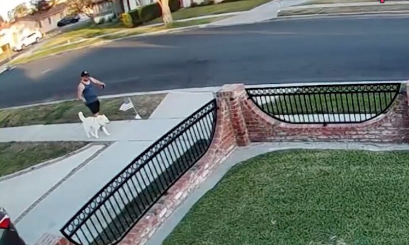 Outrage after man caught kicking American flag on Memorial Day while walking his dog in Orange County
