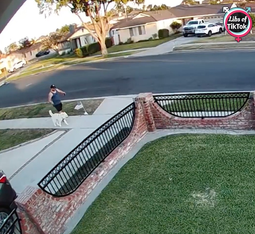 Outrage after man caught kicking American flag on Memorial Day while walking his dog in Orange County