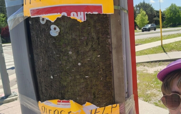 ‘Cruel’ vandals rip down posters for missing Jewish teen girl who vanished in Toronto