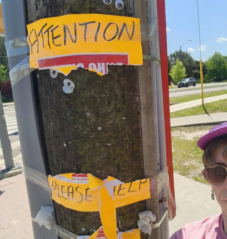 ‘Cruel’ vandals rip down posters for missing Jewish teen girl who vanished in Toronto