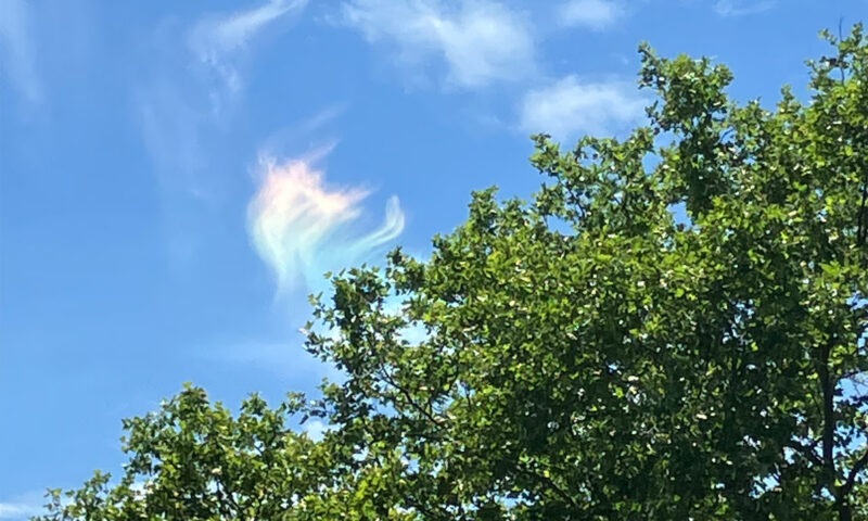 ‘Fire rainbow’ phenom spotted in the skies over NJ and MSG