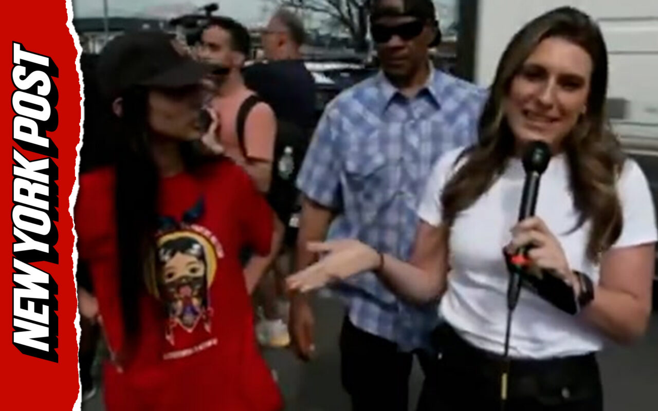 Fox News reporter’s searing response to foul-mouthed anti-ICE protester who interrupts live shot