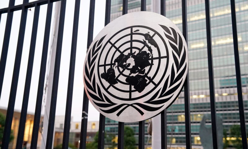 How for-sale UN ‘experts’ weaponize human rights to serve tyranny