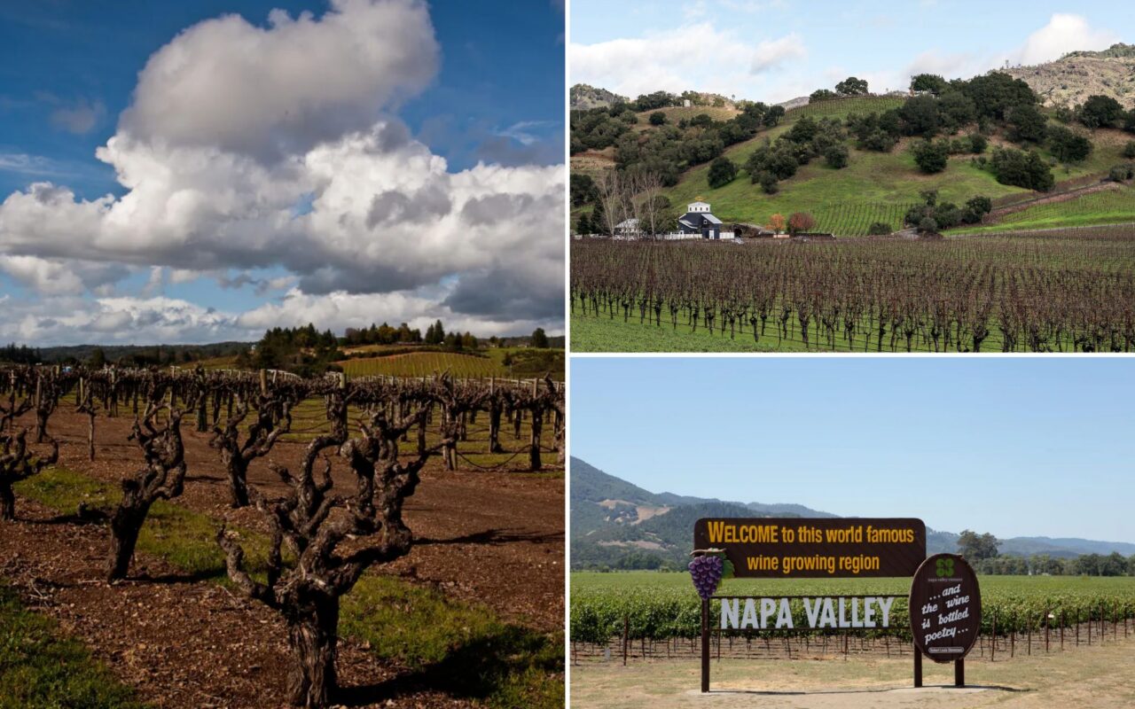 Napa Valley nightmare as experts warn wineries could run dry: ‘Unsustainable’
