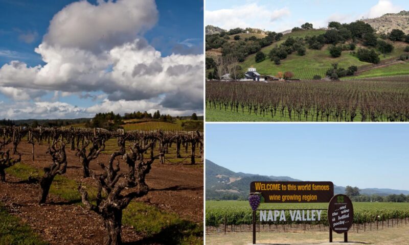 Napa Valley nightmare as experts warn wineries could run dry: ‘Unsustainable’