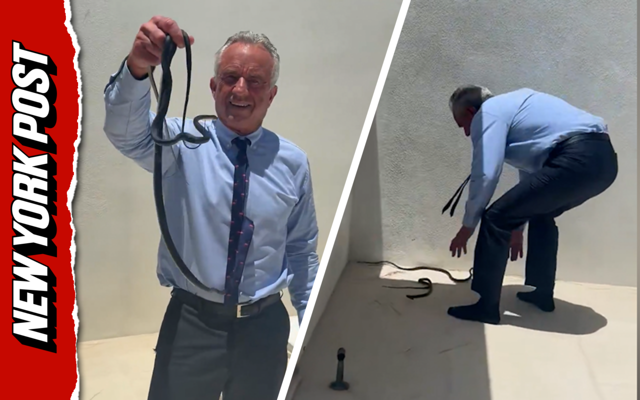 RFK Jr. wrangles pair of snakes from Dr. OZ’s patio
