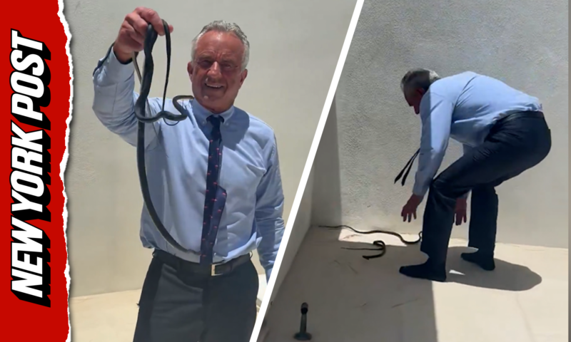 RFK Jr. wrangles pair of snakes from Dr. OZ’s patio