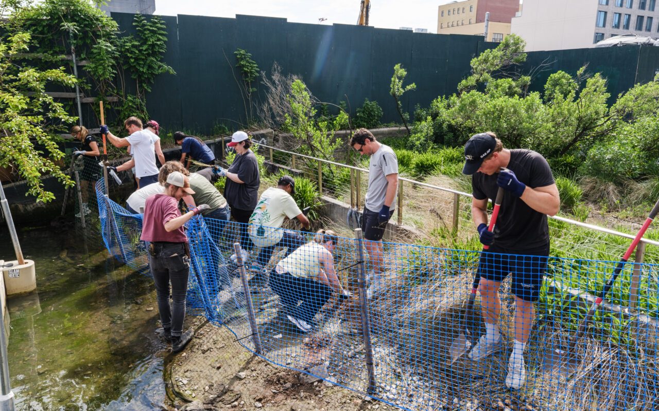 Olympic sailor navigates Gowanus Canal clean-up ahead of annual Sailing Grand Prix weekend