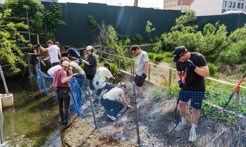 Olympic sailor navigates Gowanus Canal clean-up ahead of annual Sailing Grand Prix weekend