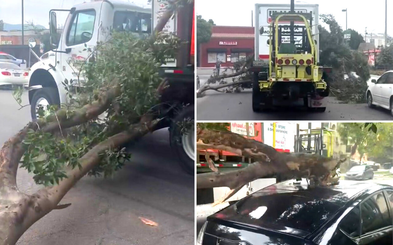 Terrifying moment row of cars totaled on LA street — and the shocking police response