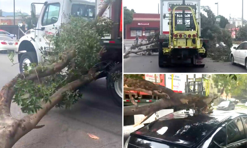 Terrifying moment row of cars totaled on LA street — and the shocking police response