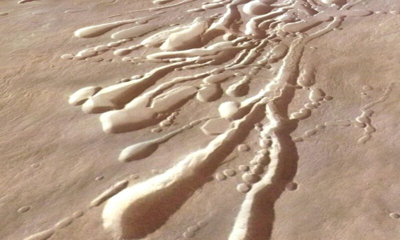 Scientists want to send a roly-poly robot filled with ‘dandelion drones’ to investigate hidden tunnels on Mars