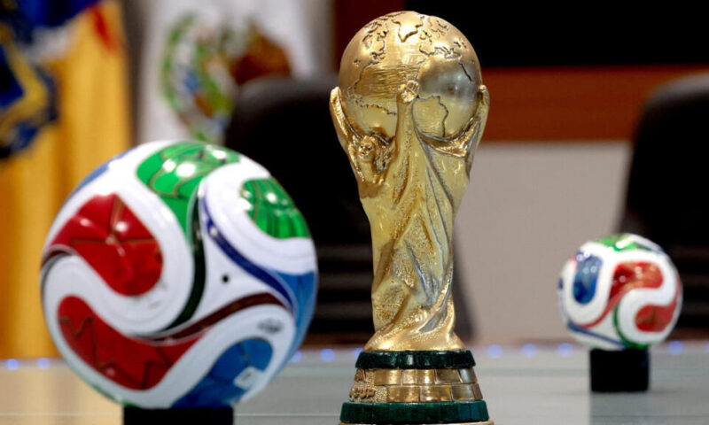 كأس العالم 2026: حيوانات تتنبأ بنتائج المباريات… وفيلان يتوقعان فوز المكسيك على جنوب أفريقيا