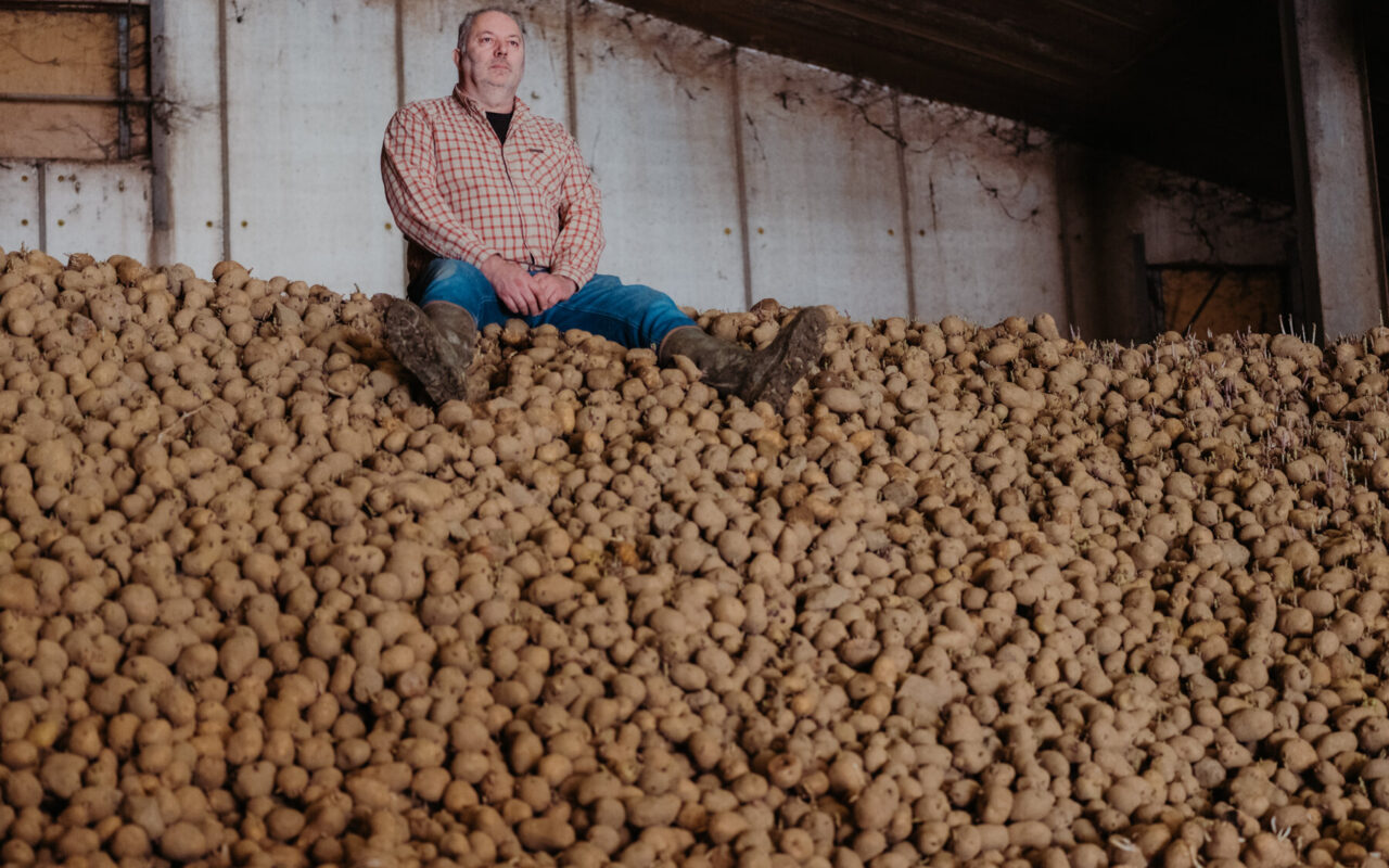 The World Capital of French Fries Has a Problem: Too Many Potatoes