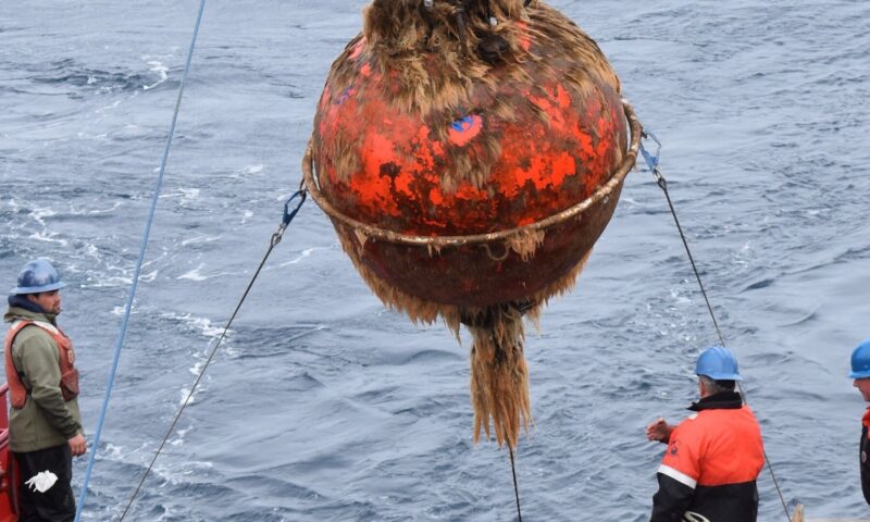 Trump Administration to Dismantle Ocean Monitoring System