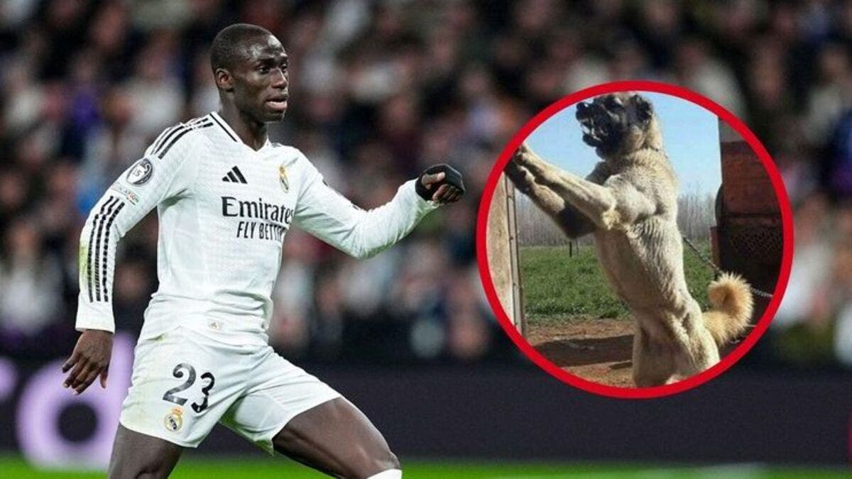 كلبه “عض” مراهقاً.. ميندي لاعب ريال مدريد يخضع للمحاكمة
