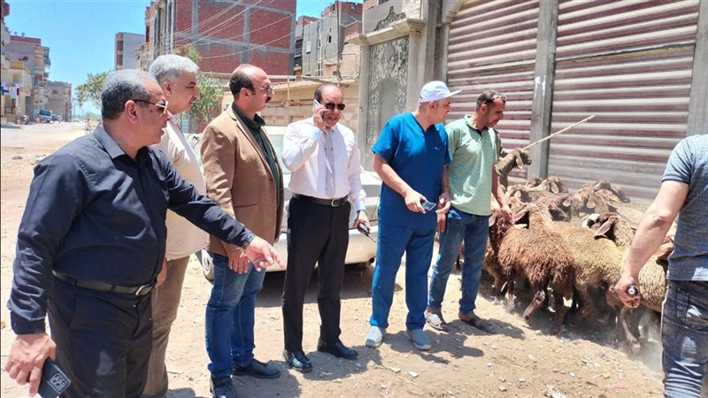 محافظ الدقهلية يتابع قوافل الطب البيطري المجانية بشربين