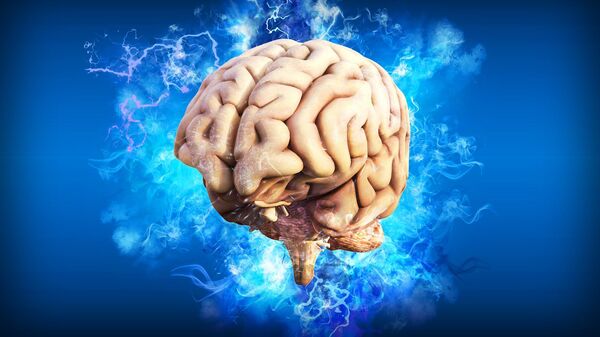 لغز الوعي خارج البشر… هل يمكن أن توجد عقول واعية بأجسام لا تشبهنا؟