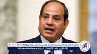 عاجل- الرئيس السيسي يؤكد ضرورة احترام وحدة الأراضي الكونغولية ودعم جهود السلام في شرق الكونغو