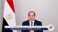 قرار جمهوري بتخصيص 26690 فدانًا لوزارة المالية لإصدار الصكوك السيادية