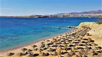 الصحف الأيرلندية تسلط الضوء على تنوع المقصد السياحي المصري وتؤكد مكانته كوجهة عالمية متكاملة