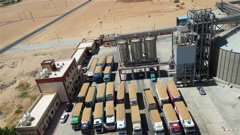 تموين الوادي الجديد: حققنا زيادة 58.2 ألف طن قمح عن العام الماضي