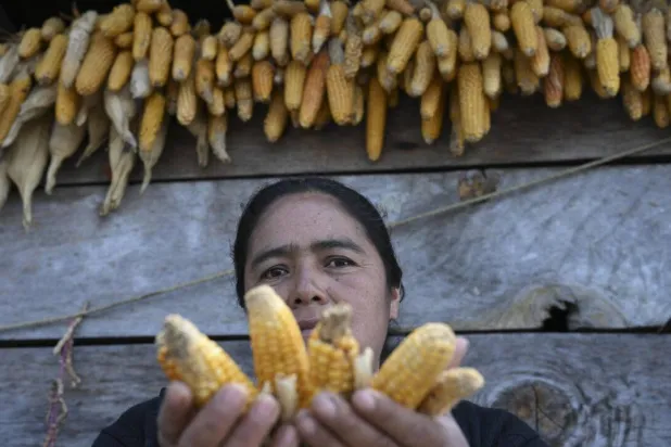 Fears of Hunger Overwhelm Guatemalan Village as El Nino Approaches
