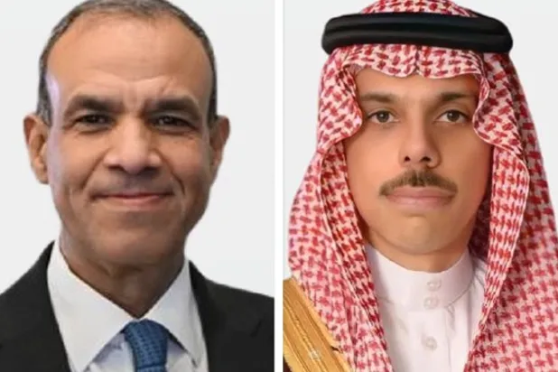وزيرا خارجية السعودية ومصر يناقشان مستجدات المنطقة