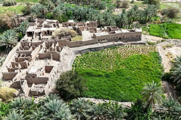 «وادي الفرع»… ذاكرة التاريخ والعيون الجارية التي لم تغادرها القوافل