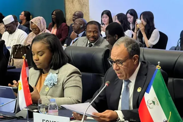 مصر تتجه لإرجاء القمة الأفريقية في العلمين بسبب «إيبولا»