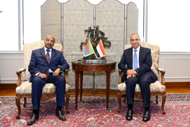القاهرة تُطالب بتفعيل «مجلس البحر الأحمر» سريعاً لحفظ الأمن الجماعي