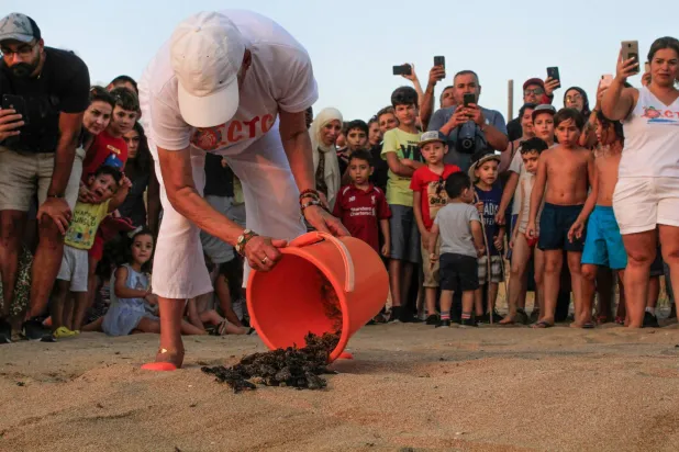 منى خليل الغائبة عن موعد السلاحف المقبل