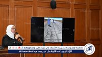 النائبة تيسير دهيم عضو مجلس الشيوخ تطالب بتطوير طريق مطروح السلوم لإنقاذ الأرواح من الحوادث