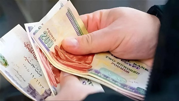 فخري الفقي: يجب ربط قيمة الدعم بالمؤشرات السعرية للسلع بما يحافظ على القوة الشرائية