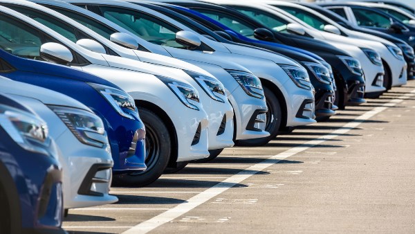 نادي السيارات والرحلات المصري.. تاريخ طويل يمتد لأكثر من 100 عام