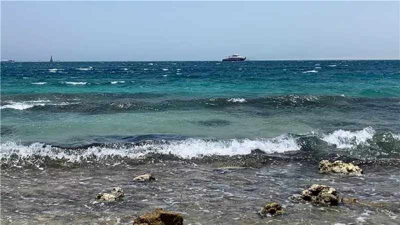 تفسير حلم شرب ماء البحر في المنام وعلاقته بالوصول إلى مكانة مرموقة